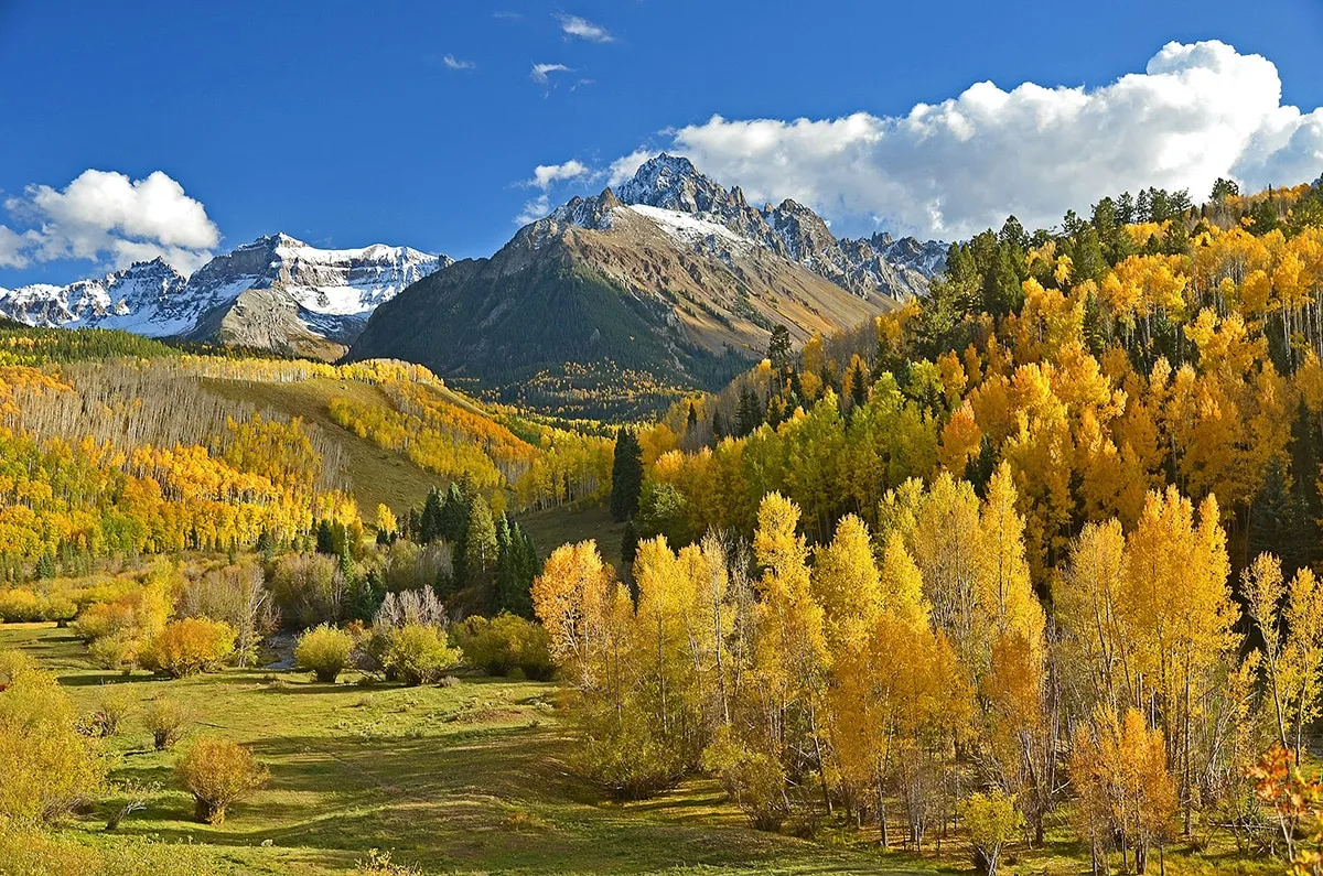 colorado-web-design-agency