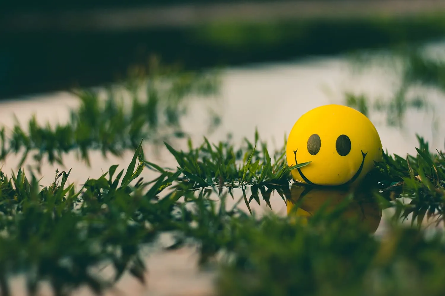 everyone-is-happy