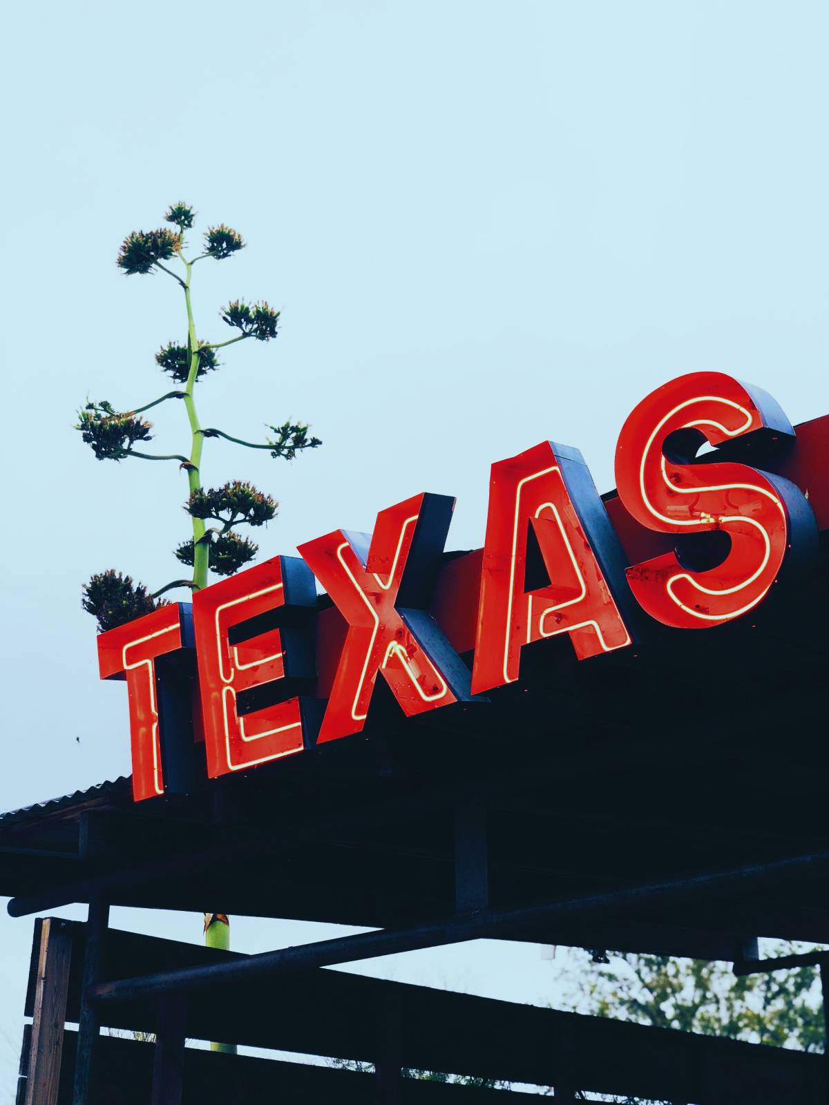 Not a vendor with no one ever in Texas.